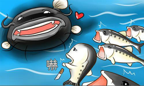 互联网江湖,"鲶鱼"如何变"鲨鱼"?